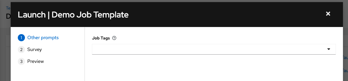Job launch with prompt job tags